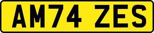 AM74ZES