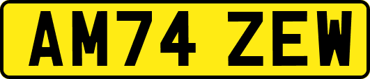 AM74ZEW