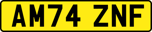 AM74ZNF