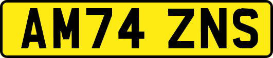 AM74ZNS
