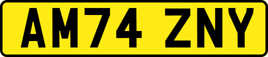 AM74ZNY