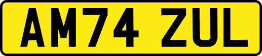 AM74ZUL