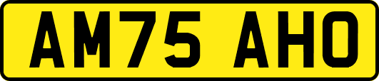 AM75AHO