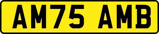 AM75AMB