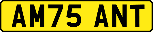 AM75ANT
