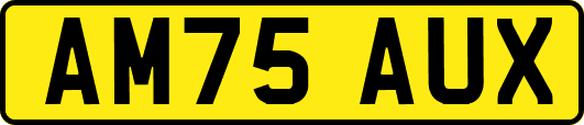 AM75AUX