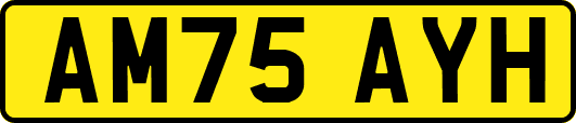 AM75AYH