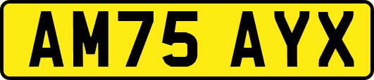 AM75AYX
