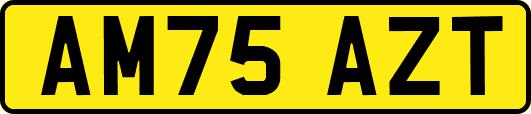 AM75AZT