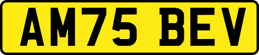 AM75BEV