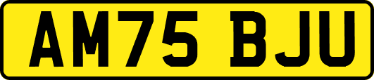 AM75BJU