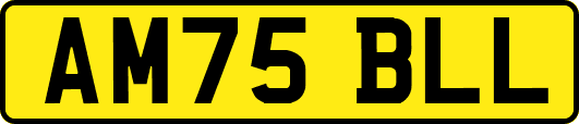AM75BLL