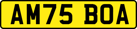 AM75BOA