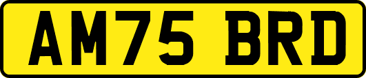 AM75BRD