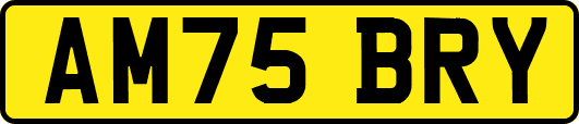 AM75BRY