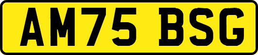 AM75BSG