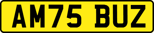 AM75BUZ