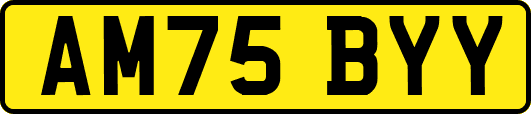 AM75BYY