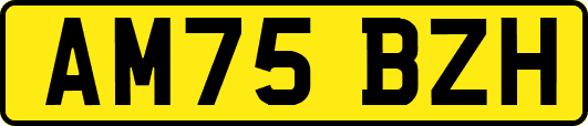 AM75BZH