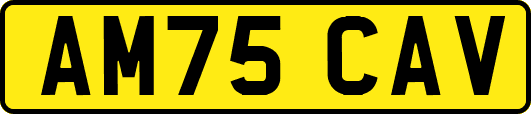 AM75CAV
