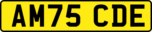 AM75CDE
