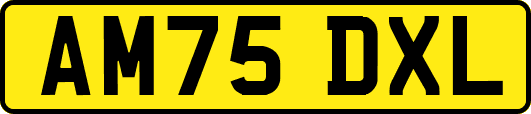 AM75DXL