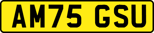 AM75GSU