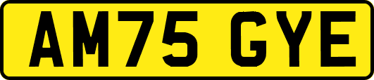 AM75GYE