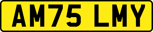 AM75LMY