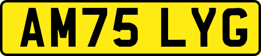AM75LYG