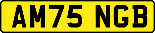 AM75NGB