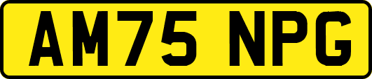 AM75NPG