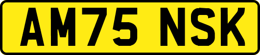 AM75NSK