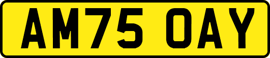 AM75OAY