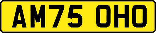 AM75OHO