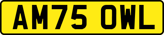 AM75OWL