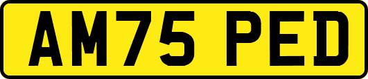 AM75PED