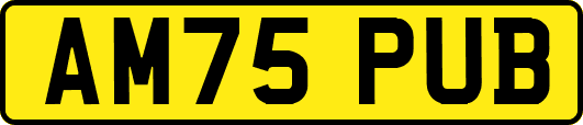 AM75PUB