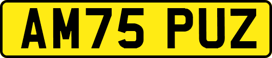 AM75PUZ