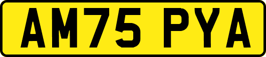 AM75PYA