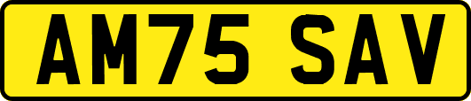 AM75SAV