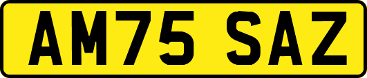 AM75SAZ