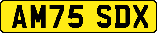 AM75SDX