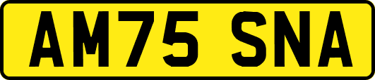 AM75SNA