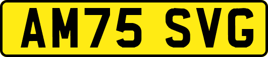 AM75SVG