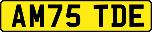 AM75TDE