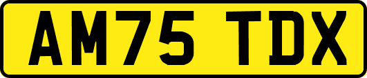 AM75TDX