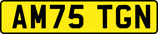 AM75TGN