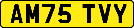AM75TVY