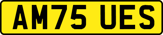 AM75UES